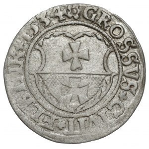 Sigismund I. der Alte, Pfennig Elbląg 1534