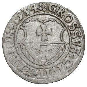 Zikmund I. Starý, Penny Elbląg 1534