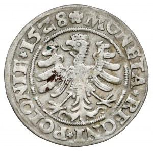 Zygmunt I Stary, Grosz Kraków 1528 - PO/OLONIE