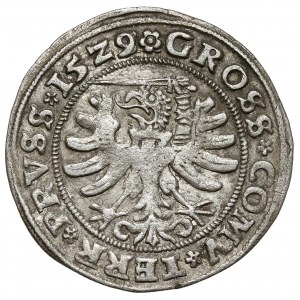 Sigismund I the Old, Torun 1529 penny - punctuation of date