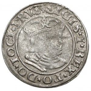 Sigismund I the Old, Penny of Toruń 1530