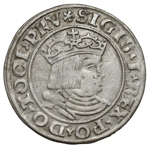 Zikmund I. Starý, Grosz Toruń 1530