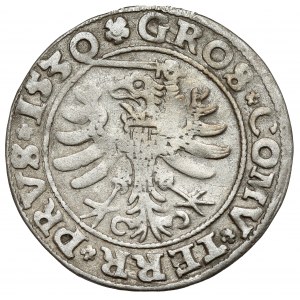 Sigismund I. der Alte, Grosz Toruń 1530