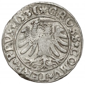 Zygmunt I Stary, Grosz Toruń 1531