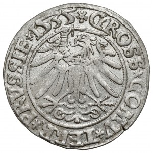 Sigismund I the Old, Penny of Toruń 1535