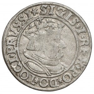 Sigismund I the Old, Torun 1534 penny - with hair