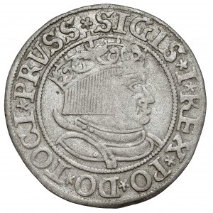 Sigismund I. der Alte, Grosz Toruń 1533