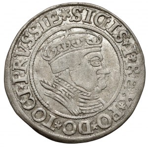 Sigismund I. der Alte, Grosz Toruń 1534 - in Mütze