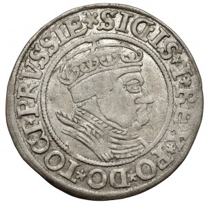 Zikmund I. Starý, Grosz Toruń 1534 - v čepici
