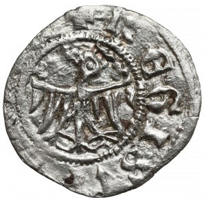 Kasimir III. der Große, Halbpfennig (Quarto) Krakau - Typ VII