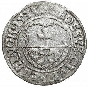 Sigismund I. der Alte, Pfennig Elbląg 1533