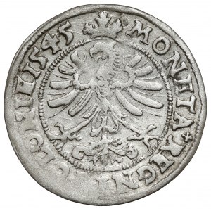 Zikmund I. Starý, Grosz Krakov 1545 - vzácný