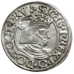 Žigmund I. Starý, gdanský groš 1535 - obrátený trojlístok - RARE