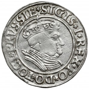 Žigmund I. Starý, Grosz Toruń 1534 - v čiapke