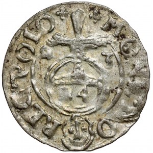Sigismund III Vasa, Half-track Bydgoszcz 1623 - in shield