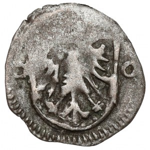 Silesia, Duchy of Glogow, Halerz Kozuchow (1483-88)