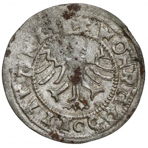 Alexander Jagiellon, Vilnius half-penny - a forgery from the period