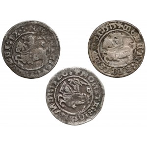 Sigismund I the Old, Vilnius half-penny 1512-1520, set (3pcs)