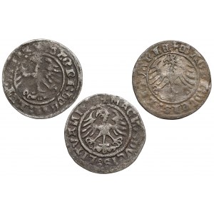 Zikmund I. Starý, vilniuský půlpenny 1512-1520, sada (3 ks)