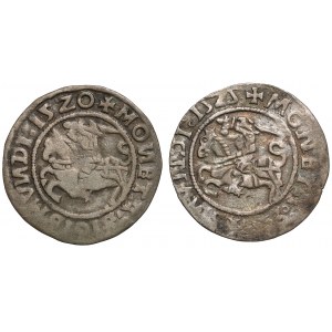 Sigismund I. der Alte, Vilniuser Halbpfennig 1520-1525, Satz (2 Stück)