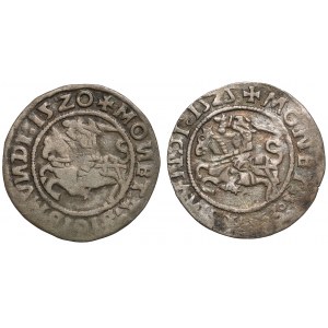Sigismund I the Old, Vilnius half-penny 1520-1525, set (2pcs)