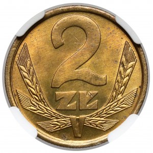2 Gold 1981