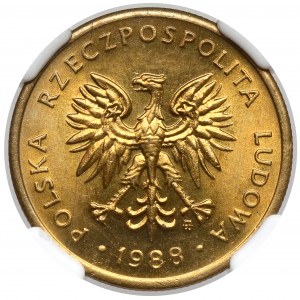 2 gold 1988