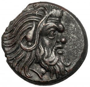 Grecja, Tracja / Chersonez, Pantikapajon, AE21 (345-310 p.n.e.) - wąska głowa