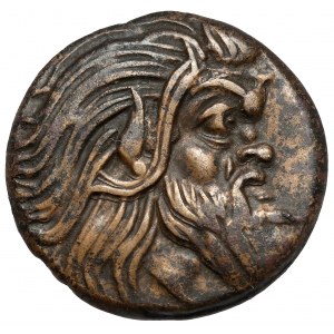 Griechenland, Thrakien / Chersonese, Pantikapaion, AE21 (345-310 v. Chr.) - breiter Kopf