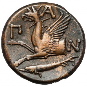 Řecko, Thrákie / Chersonés, Pantikapaion, AE21 (345-310 př. n. l.) - široká hlava