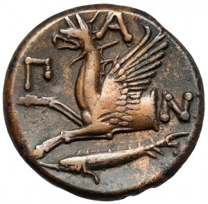 Grecja, Tracja / Chersonez, Pantikapajon, AE21 (345-310 p.n.e.) - szeroka głowa
