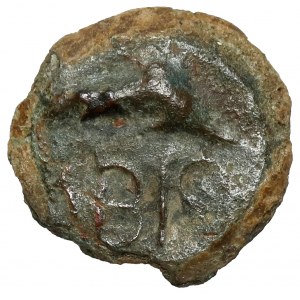 Grecja, Tracja, Olbia, AE8 (325-320 p.n.e.)