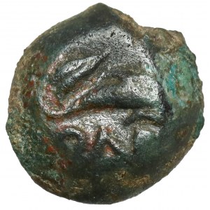 Griechenland, Thrakien, Olbia, AE9 (325-320 v. Chr.)