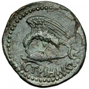 Commodus (177-192 n. l.) Moesia, Istros, AE24