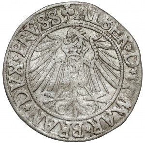 Preußen, Albrecht Hohenzollern, Grosz Königsberg 1541
