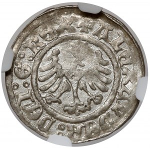 Alexander Jagiellonian, Half-penny Cracow - beautiful