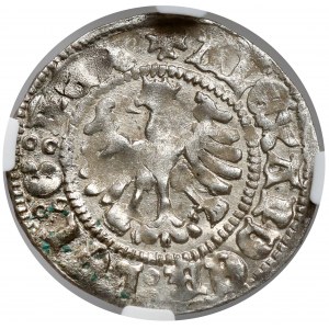 Alexander Jagiellonian, Half-penny Cracow