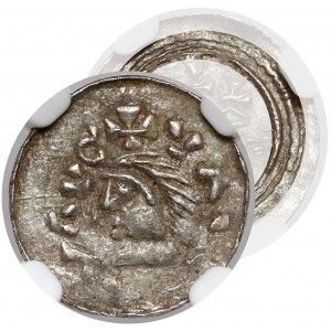 Ladislaus I Herman, Denarius of Cracow - double obverse.