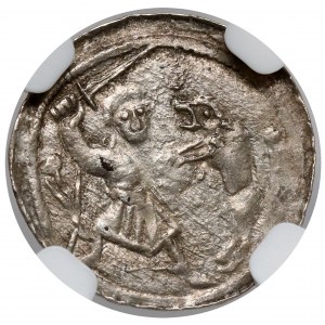 Ladislaus II the Exile, Denarius - Fight with the Lion