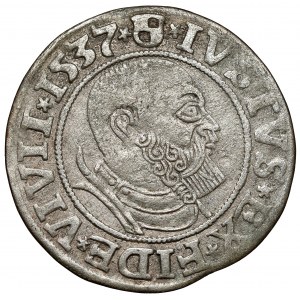 Prusko, Albrecht Hohenzollern, Grosz Königsberg 1537