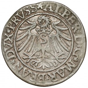 Prusko, Albrecht Hohenzollern, Grosz Königsberg 1537