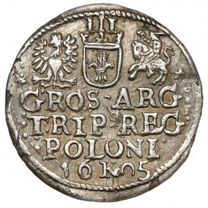 Sigismund III Vasa, Troika Kraków 1605