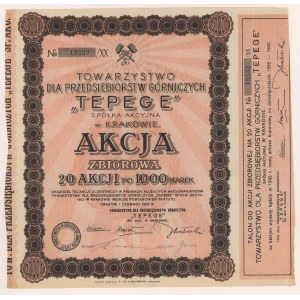 TEPEGE Tow. für Bergbauunternehmen, 20x 1.000 mkp 1923