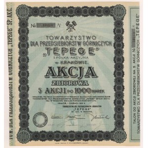 TEPEGE Tow. pro těžební společnosti, 5x 1 000 mkp 1923
