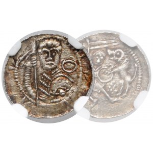 Ladislaus II the Exile, Denarius - Prince with pennant and shield - B.RZADKI