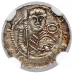 Ladislaus II the Exile, Denarius - Prince with pennant and shield - B.RZADKI