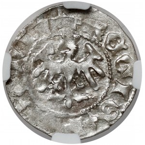 Ladislaus II Jagiello, Cracow half-penny - type 17 - letters F‡.