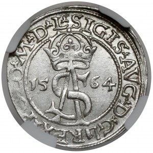 Sigismund II Augustus, Troika Vilnius 1564 - SCHÖN