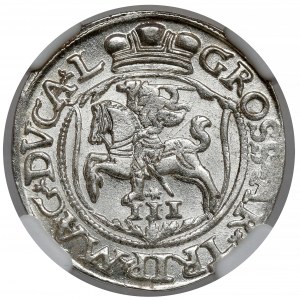 Sigismund II Augustus, Troika Vilnius 1564 - SCHÖN