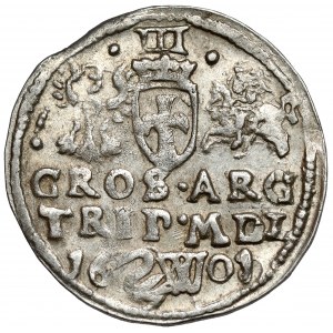 Sigismund III Vasa, Trojak Vilnius 1601 - Schwan und Buchstabe W - sehr selten